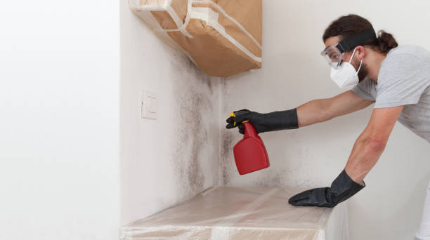 Basement Mold Remediation treatment on basement walls in Marietta